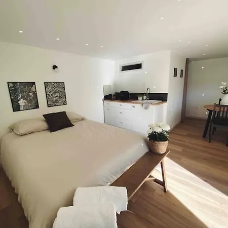 Apartament Adorables - Emplacement Ideal *