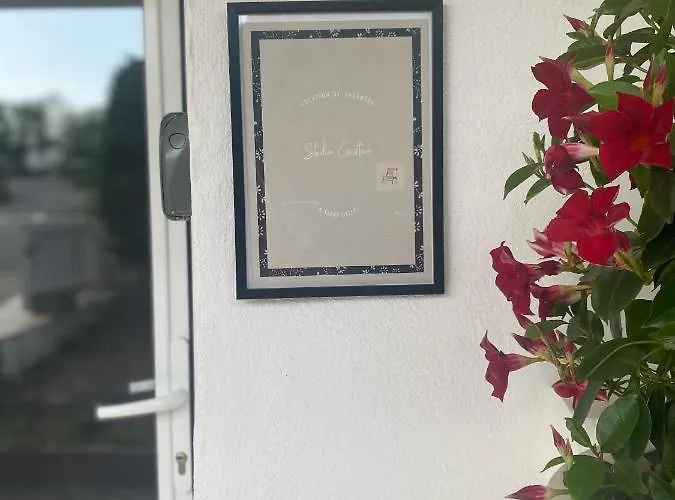 Adorables - Emplacement Ideal